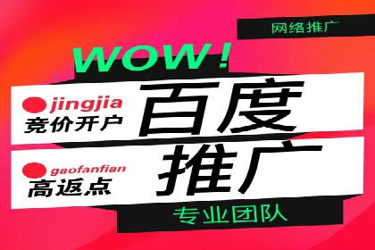 百度竞价推广托管的成功案例：从零到一的突破